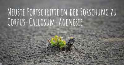 Neuste Fortschritte in der Forschung zu Corpus-Callosum-Agenesie