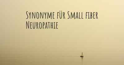 Synonyme für Small fiber Neuropathie