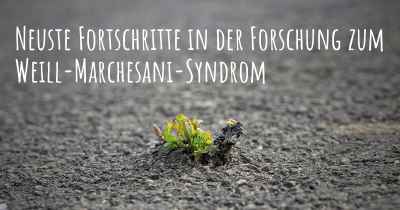 Neuste Fortschritte in der Forschung zum Weill-Marchesani-Syndrom