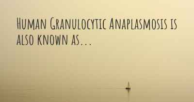 Human Granulocytic Anaplasmosis is also known as...