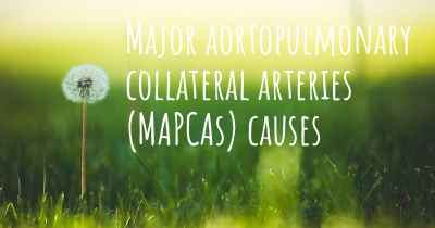 Major aortopulmonary collateral arteries (MAPCAs) causes