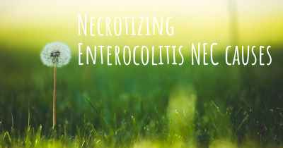 Necrotizing Enterocolitis NEC causes