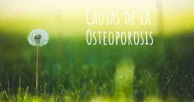 Causas de la Osteoporosis
