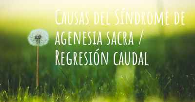 Causas del Síndrome de agenesia sacra / Regresión caudal