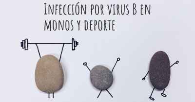 Infección por virus B en monos y deporte