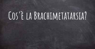 Cos'è la Brachimetatarsia?