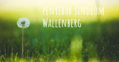 penyebab Sindrom Wallenberg