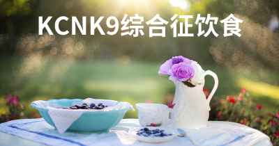 KCNK9综合征饮食