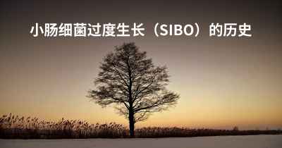 小肠细菌过度生长（SIBO）的历史