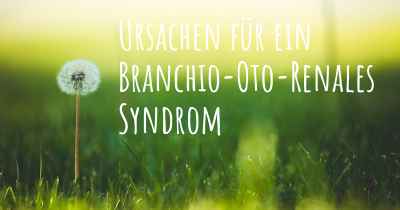 Ursachen für ein Branchio-Oto-Renales Syndrom