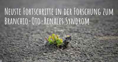 Neuste Fortschritte in der Forschung zum Branchio-Oto-Renales Syndrom