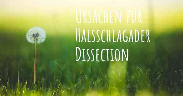 Ursachen für Halsschlagader Dissection