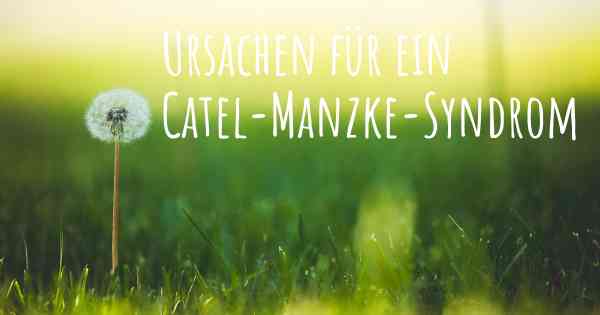 Ursachen für ein Catel-Manzke-Syndrom