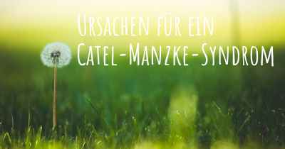 Ursachen für ein Catel-Manzke-Syndrom