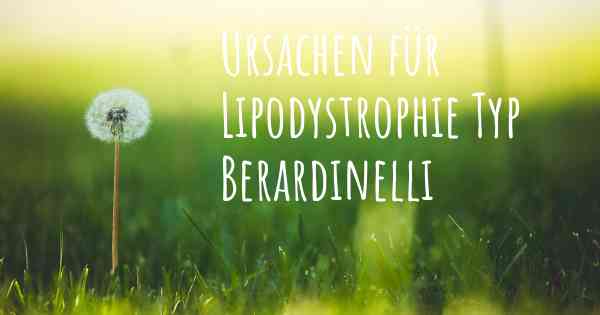Ursachen für Lipodystrophie Typ Berardinelli