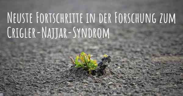 Neuste Fortschritte in der Forschung zum Crigler-Najjar-Syndrom