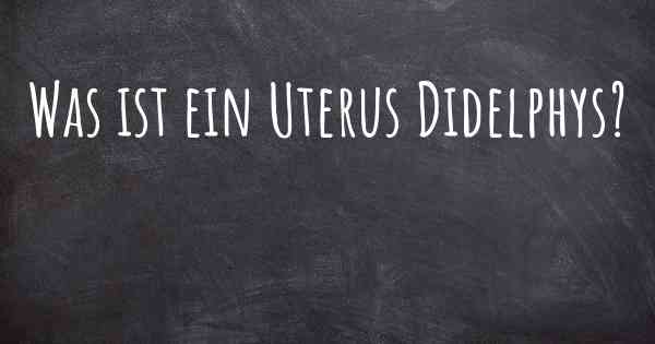 Was ist ein Uterus Didelphys?