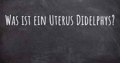 Was ist ein Uterus Didelphys?