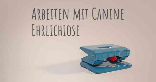 Arbeiten mit Canine Ehrlichiose