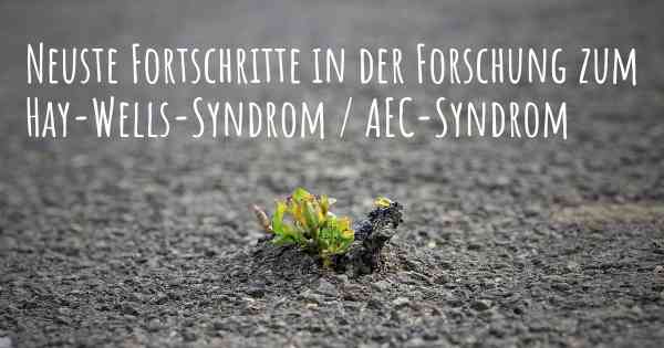 Neuste Fortschritte in der Forschung zum Hay-Wells-Syndrom / AEC-Syndrom