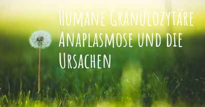 Humane Granulozytäre Anaplasmose und die Ursachen