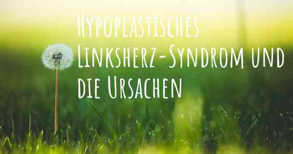 Hypoplastisches Linksherz-Syndrom und die Ursachen