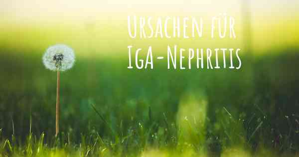 Ursachen für IgA-Nephritis