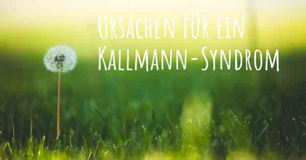 Ursachen für ein Kallmann-Syndrom