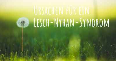 Ursachen für ein Lesch-Nyhan-Syndrom