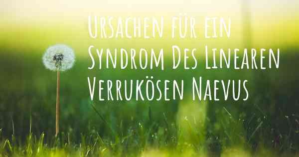 Ursachen für ein Syndrom Des Linearen Verrukösen Naevus