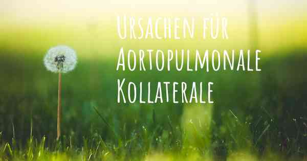 Ursachen für Aortopulmonale Kollaterale