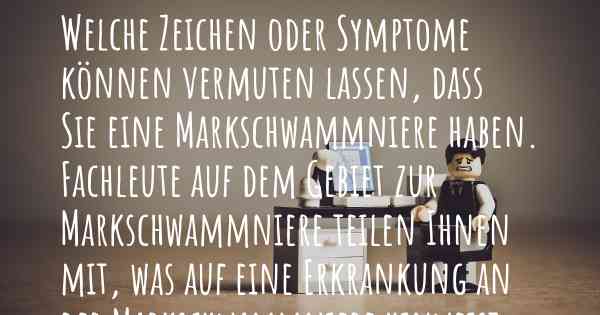 Welche Zeichen oder Symptome können vermuten lassen, dass Sie eine Markschwammniere haben. Fachleute auf dem Gebiet zur Markschwammniere teilen Ihnen mit, was auf eine Erkrankung an der Markschwammniere hinweist und welche Ärzte aufgesucht werden müssen.