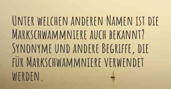 Unter welchen anderen Namen ist die Markschwammniere auch bekannt? Synonyme und andere Begriffe, die für Markschwammniere verwendet werden.