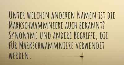 Unter welchen anderen Namen ist die Markschwammniere auch bekannt? Synonyme und andere Begriffe, die für Markschwammniere verwendet werden.