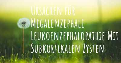 Ursachen für Megalenzephale Leukoenzephalopathie Mit Subkortikalen Zysten