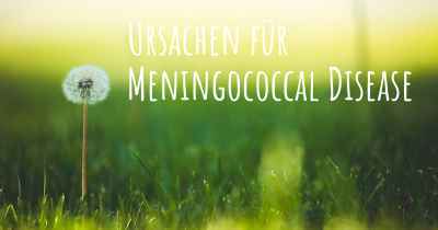Ursachen für Meningococcal Disease