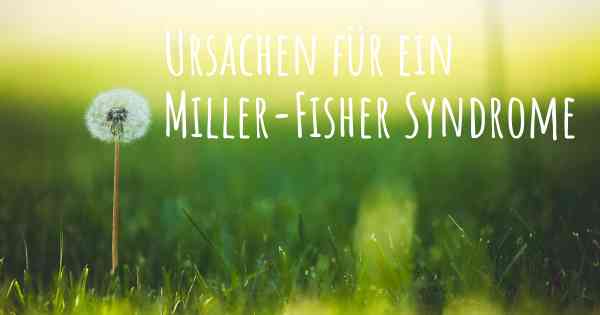 Ursachen für ein Miller-Fisher Syndrome