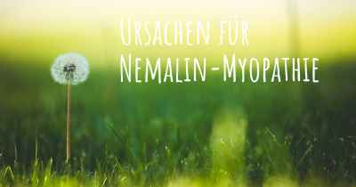 Ursachen für Nemalin-Myopathie