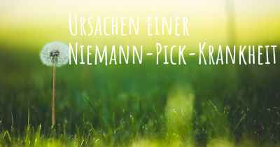 Ursachen einer Niemann-Pick-Krankheit