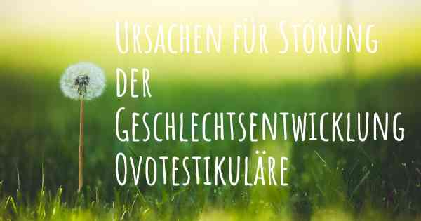 Ursachen für Störung der Geschlechtsentwicklung Ovotestikuläre