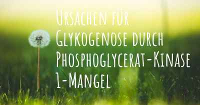 Ursachen für Glykogenose durch Phosphoglycerat-Kinase 1-Mangel