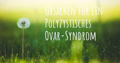 Ursachen für ein Polyzystisches Ovar-Syndrom