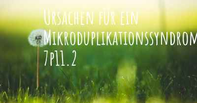 Ursachen für ein Mikroduplikationssyndrom 7p11.2