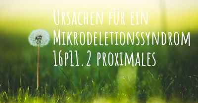 Ursachen für ein Mikrodeletionssyndrom 16p11.2 proximales