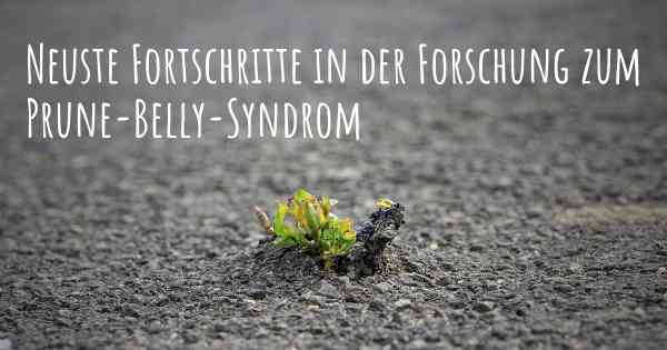 Neuste Fortschritte in der Forschung zum Prune-Belly-Syndrom