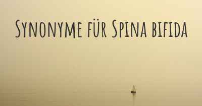 Synonyme für Spina bifida