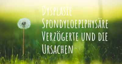 Dysplasie Spondyloepiphysäre Verzögerte und die Ursachen