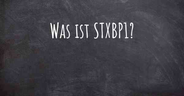 Was ist STXBP1?
