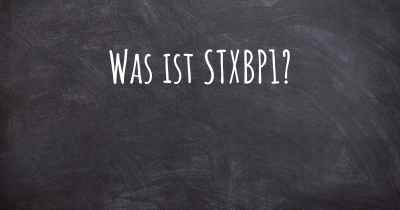 Was ist STXBP1?