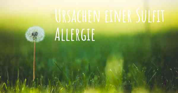Ursachen einer Sulfit Allergie